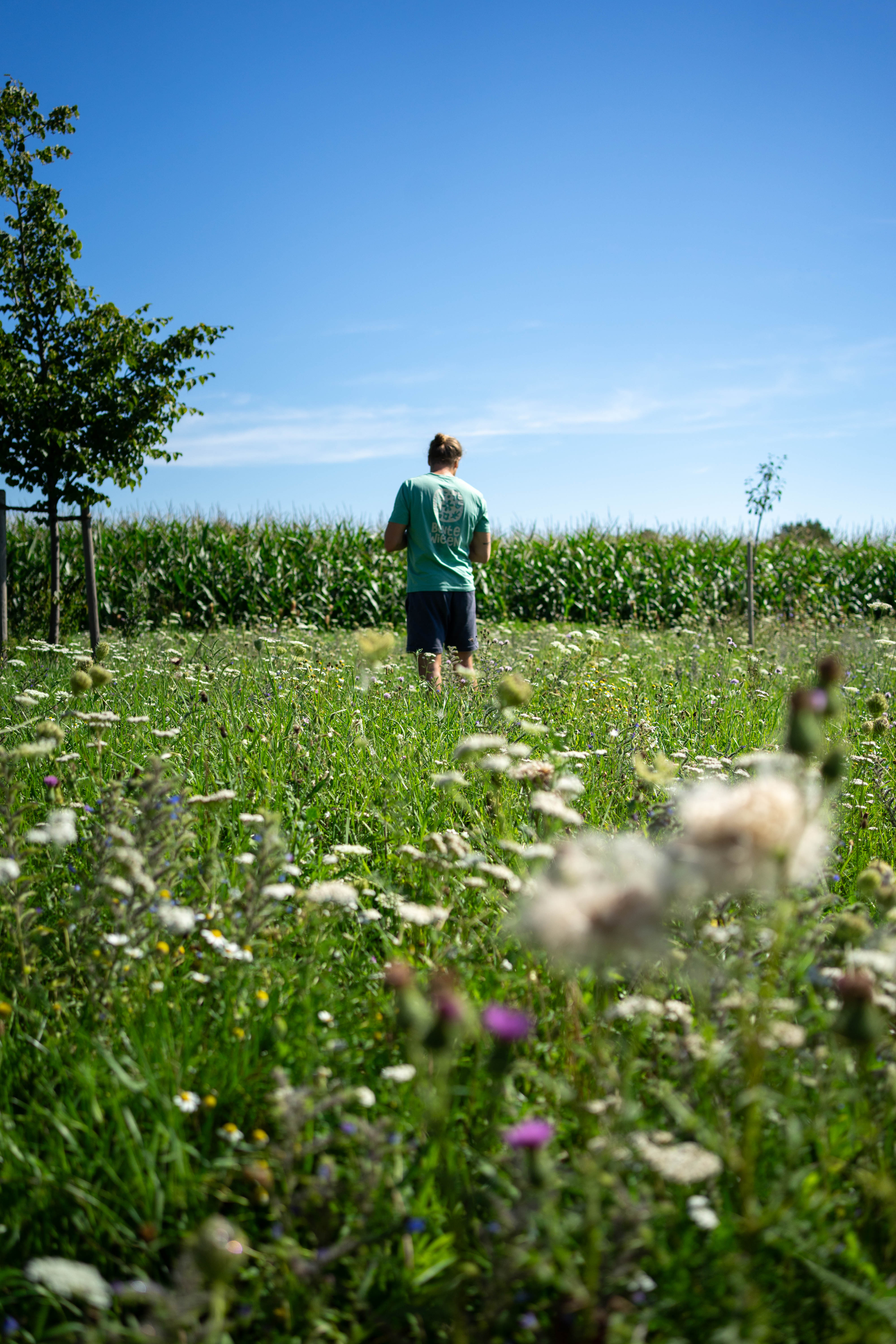 Die Arbeit lohnt sich!